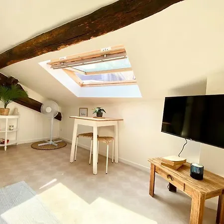 Apartment La Bonne Qui Revait D Opera Tours