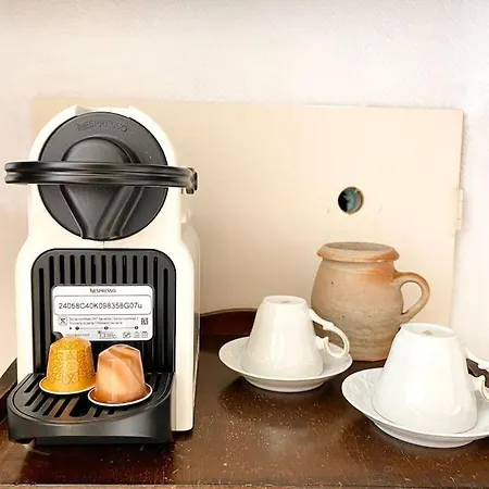 La Bonne Qui Revait D Opera Lägenhet Tours