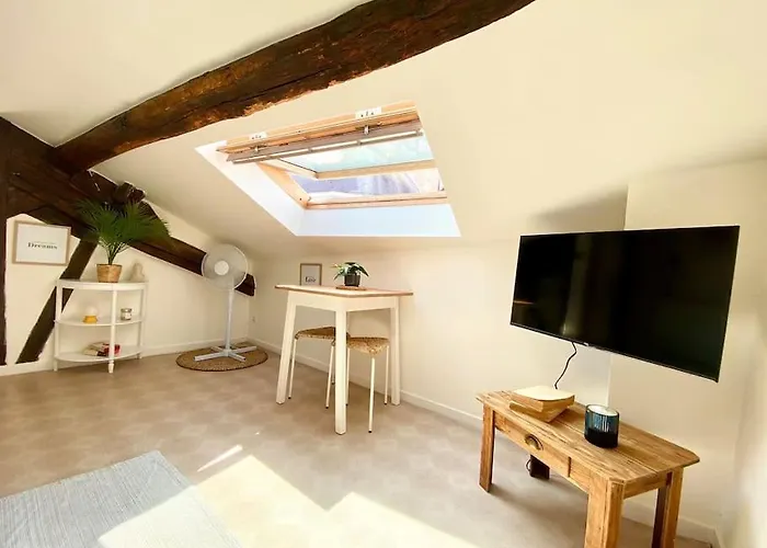 Διαμέρισμα La Bonne Qui Revait D Opera Τουρ